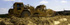 Leveling Dirt